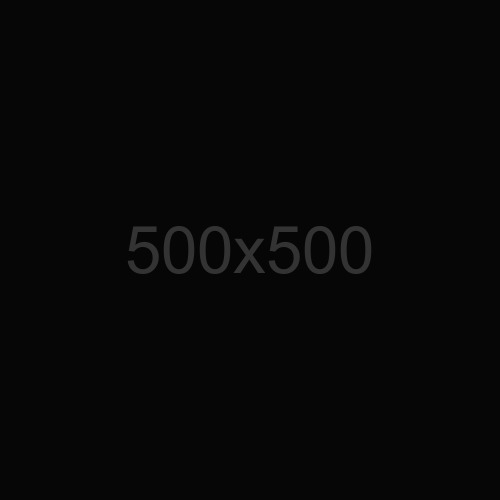 portfolio item image